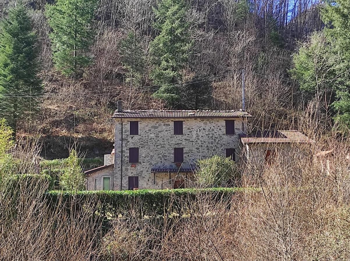 Casa Vacanze Il Boscaccio "Casa Massimo" Fornovolasco Eksteriør bilde